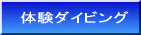 �̌��_�C�r���O 