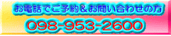 098-953-2600