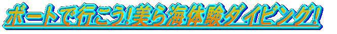 ボートで行こう!美ら海体験ダイビング!