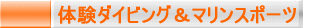 �̌��_�C�r���O���}�����X�|�[�c 