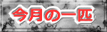 �����̈�C 