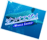 whaleshark