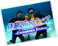 experiencediving