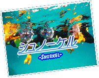 snorkel