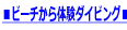 ���r�[�`����̌��_�C�r���O��