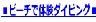 ���r�[�`�ő̌��_�C�r���O��