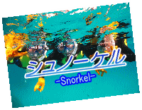 snorkel