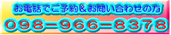 ０９８－９６６－８３７８ 