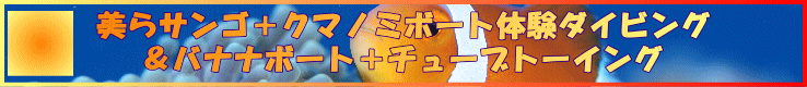 美らサンゴ＋クマノミボート体験ダイビング＆バナナボート＋チューブトーイング