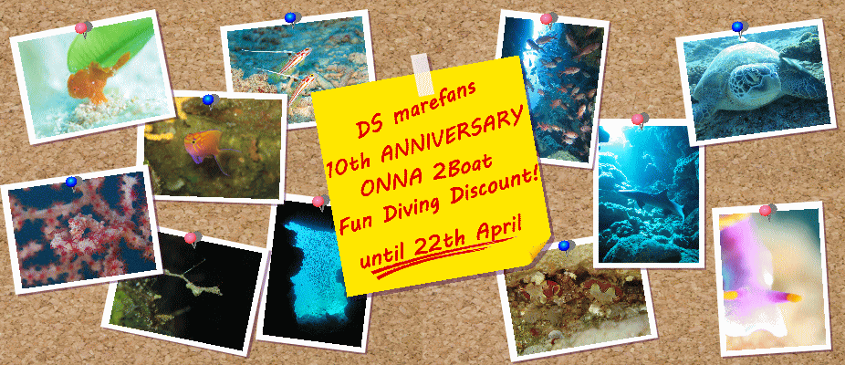 onna2boatfundivingdiscount