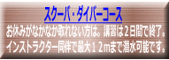 お休みがなかなか取れない方は。講習は2日間で終了。 インストラクター同伴で最大12mまで潜水可能です。