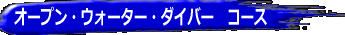 I[vEH[^[_Co[R[X 